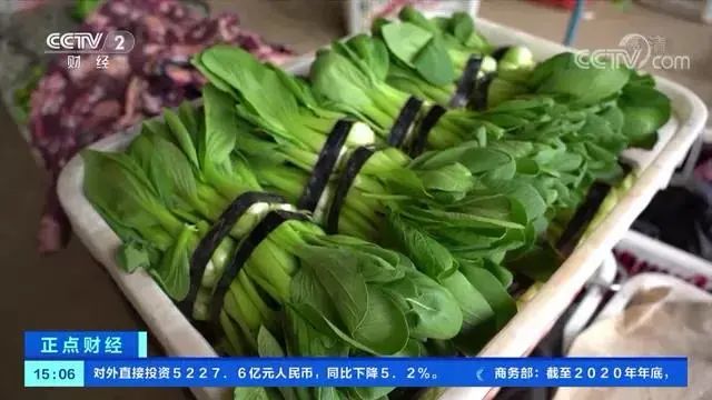 近期蔬菜价格为何跳涨？近期蔬菜价格上涨三大原因