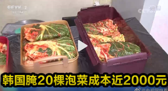韩国腌20棵泡菜成本近2000元 韩国小葱批发价每公斤50元