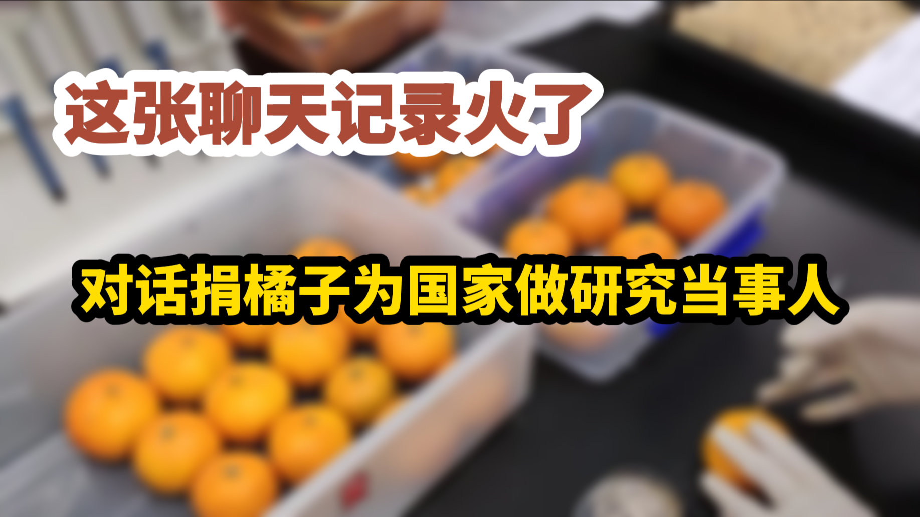 捐橘子为国家做研究的老板找到了 网友:泪目了