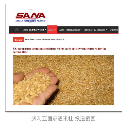 美机构再向叙利亚农民分发可疑麦种 约四成含有粒线虫病