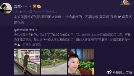 刘维决定暂退娱乐圈照顾母亲：已解散工作团队