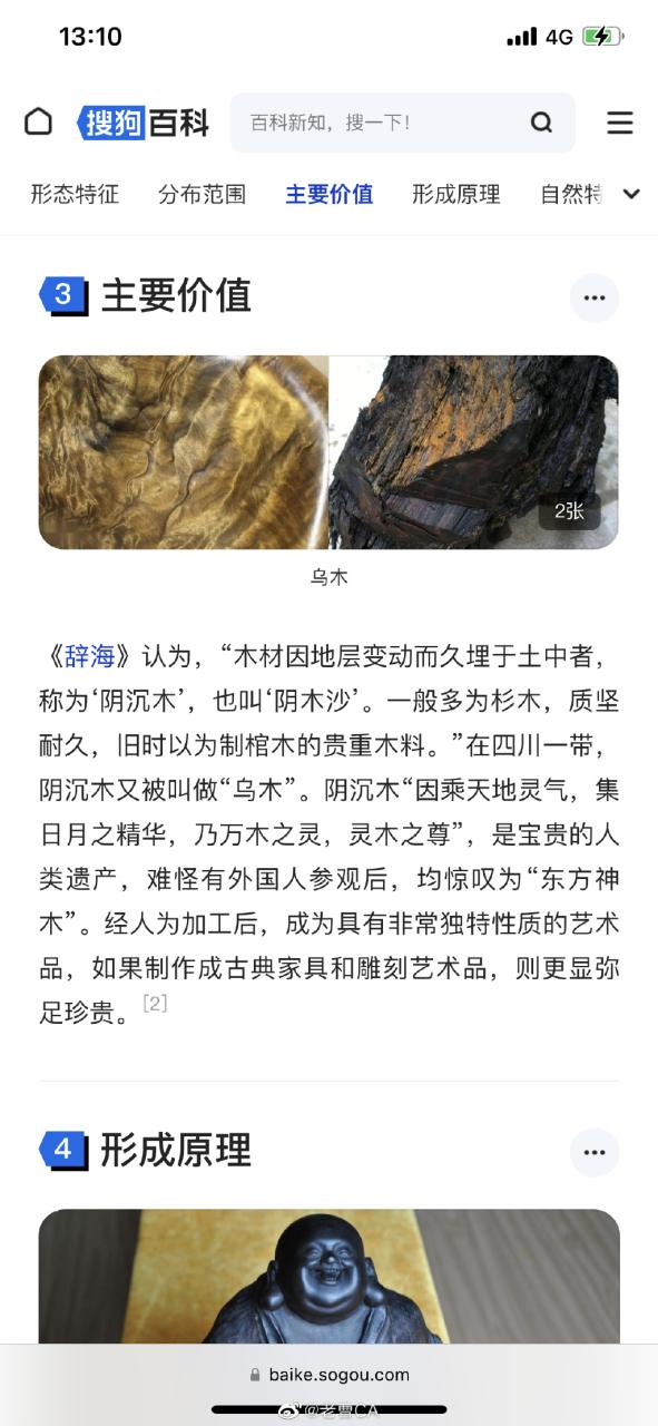 重庆嘉陵江惊现巨大阴沉木  阴沉木是什么木头 阴沉木的功效与作用是什么