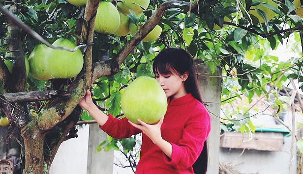 李子柒会输吗-婚姻学堂