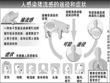 甲型h1n1流感是由什么引起的,甲型H1N1流感-婚姻学堂