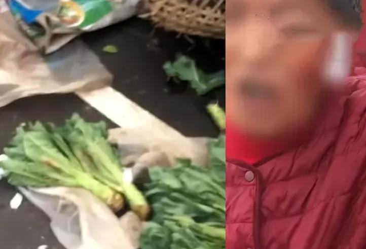 985研究生帮父卖菜遭隔壁商贩掀摊 不接受调解!-婚姻学堂
