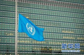 联合国总部降半旗_痛心！101人遇难，联合国总部降半旗志哀！